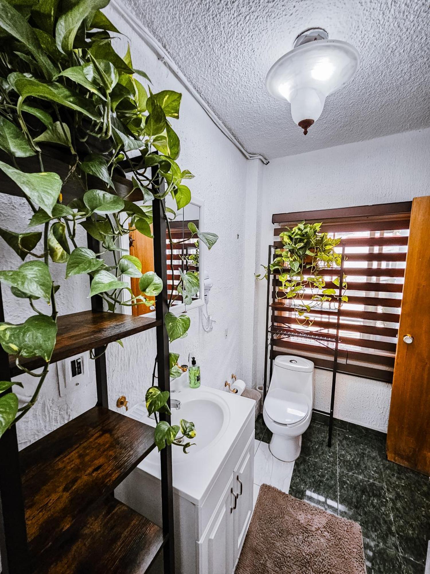 Habitacion Con Bano Privado B, Centro De Coyoacan Мехіко Екстер'єр фото